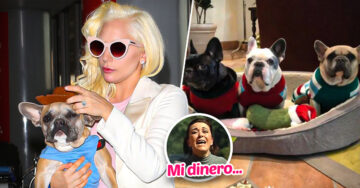 Lady Gaga se niega a pagar el rescate de sus perros por una poderosa razón