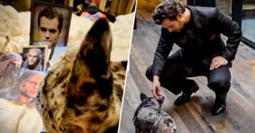 Perrito cumple su sueño de conocer a Henry Cavill y no soportamos su emoción